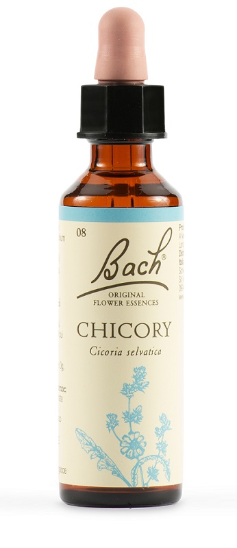 CHICORY BACH ORIG 20 ML - Farmacia De Pasquale