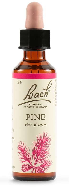 PINE BACH ORIG 20 ML - Farmacia De Pasquale