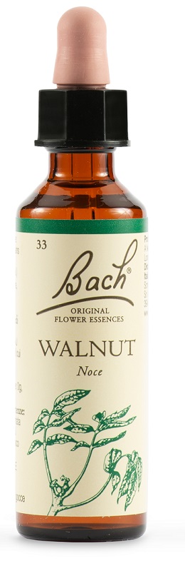 WALNUT BACH ORIG 20 ML - Farmacia De Pasquale