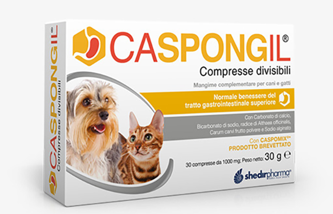 CASPONGIL 30 COMPRESSE DIVISIBILI - Farmacia De Pasquale