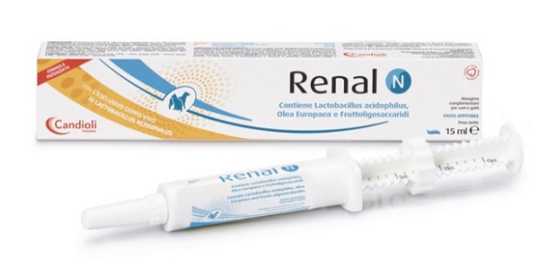 RENAL N PASTA SIRINGA DOSATRICE 15 ML - Farmacia De Pasquale