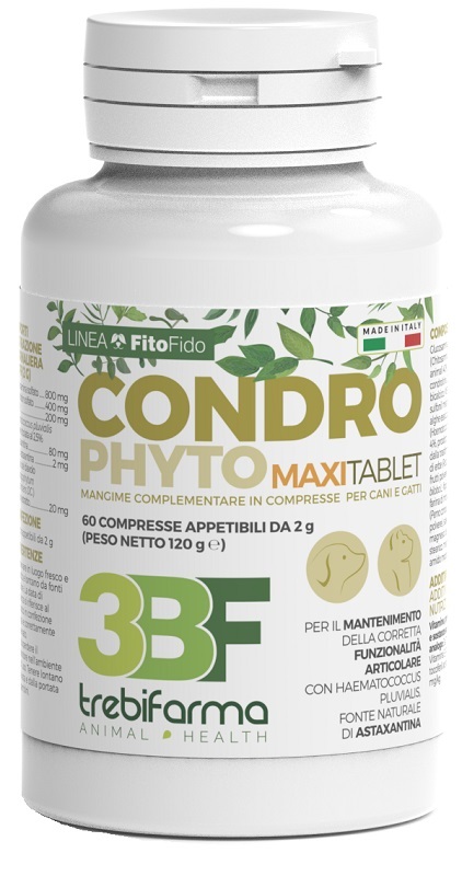 CONDROPHYTO 60 COMPRESSE 2 G - Farmacia De Pasquale