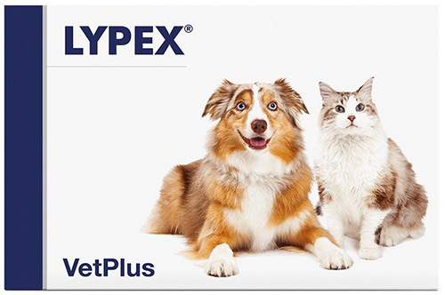 LYPEX 60 CAPSULE - Farmacia De Pasquale