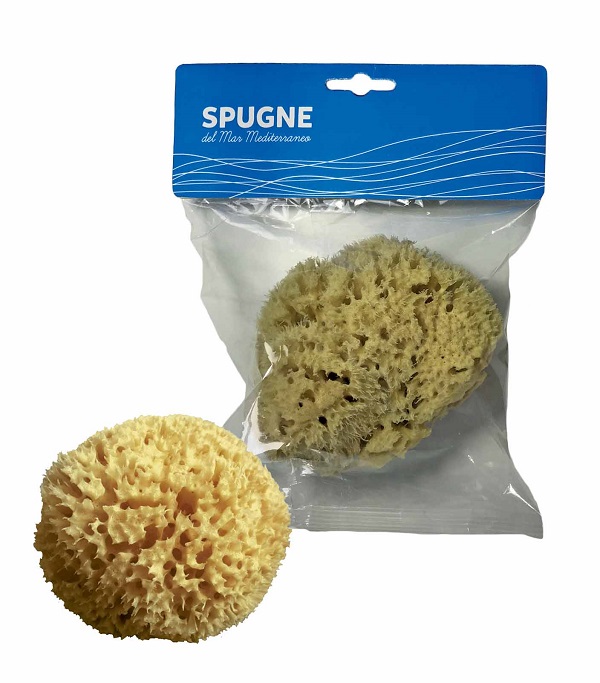 MOOD SPUGNA MAR MEDITERRANEO ARCIPELAGO GREZZA 9/10CM - Farmacia De Pasquale
