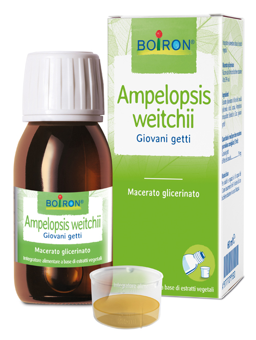 AMPELOPSIS WESTRATTO IDROALCOLICO BOIRON MACERATO GLICERICO 60 ML - Farmacia De Pasquale