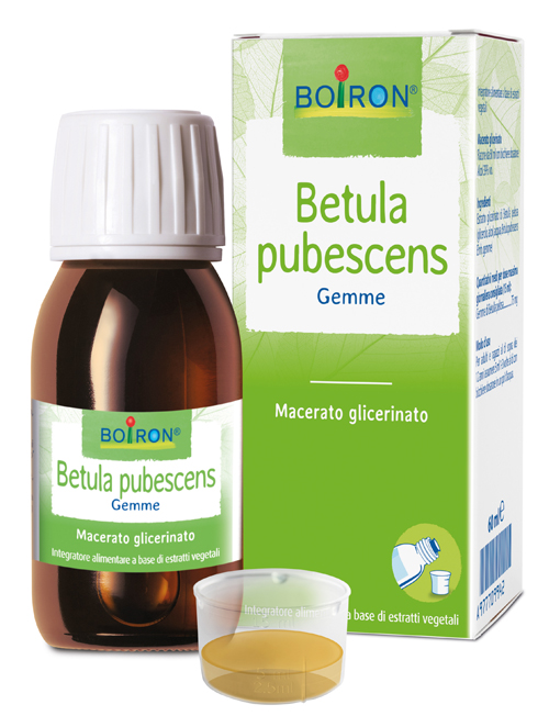 BETULA PUBESC BOIRON MACERATO GLICERICO 60 ML - Farmacia De Pasquale