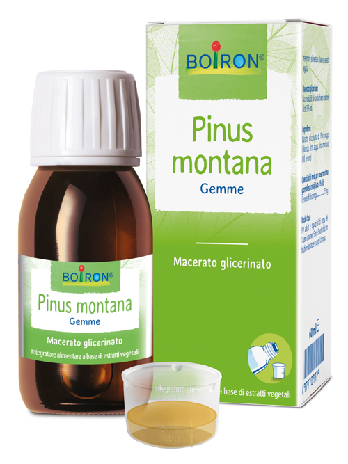 PINUS MONTANA BOIRON MACERATO GLICERICO 60 ML - Farmacia De Pasquale