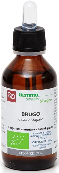 BRUGO MACERATO GLICERICO 100 ML BIO - Farmacia De Pasquale