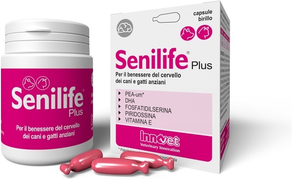 SENILIFE PLUS 60 CAPSULE - Farmacia De Pasquale