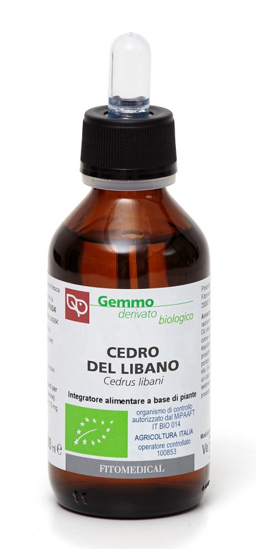 CEDRO DEL LIBANO MACERATO GLICERICO 100 ML BIO - Farmacia De Pasquale