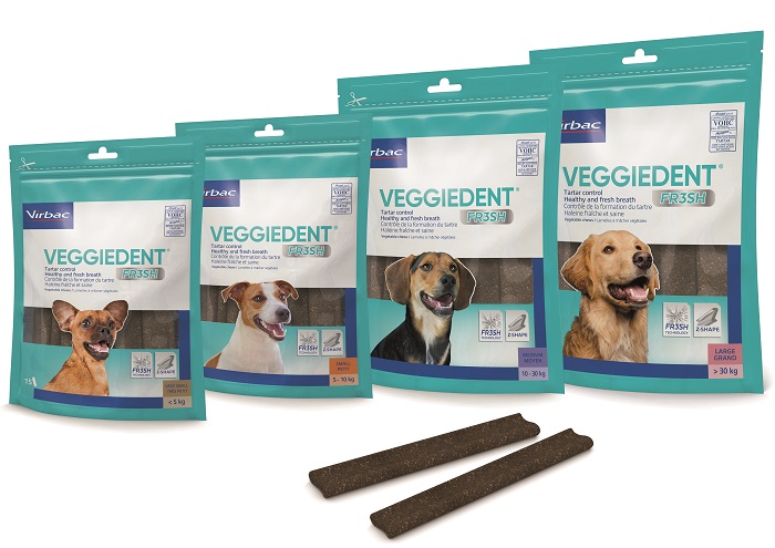 VEGGIEDENT FR3SH S 15 STICK - Farmacia De Pasquale