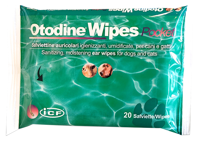 OTODINE WIPES POCKET 20 PEZZI - Farmacia De Pasquale