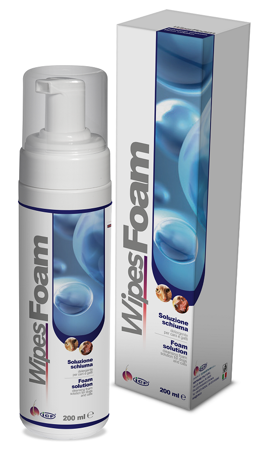 WIPES FOAM 200 ML - Farmacia De Pasquale