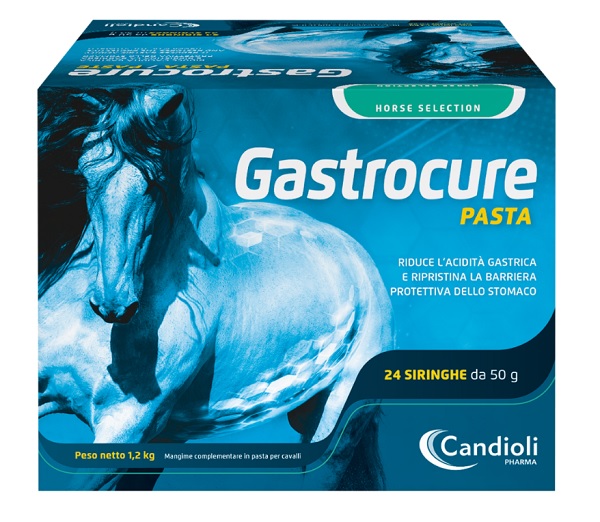 GASTROCURE 24 SIRINGHE PRERIEMPITE MANGIME COMPLEMENTARE IN PASTA CAVALLI - Farmacia De Pasquale